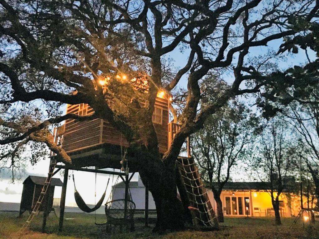 Pe No Monte Casa de hóspedes São Teotónio Exterior foto